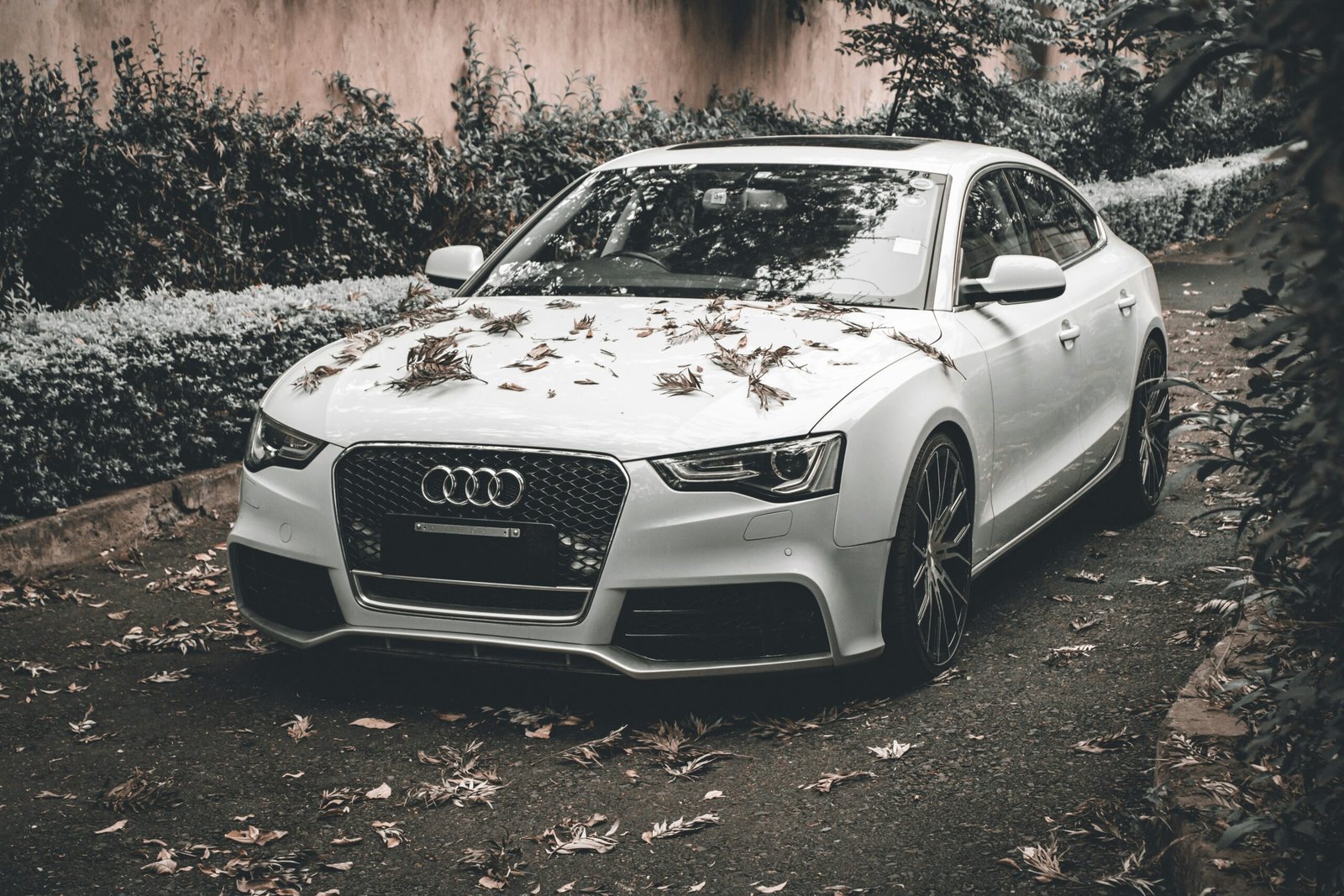 just audi spare parts summer