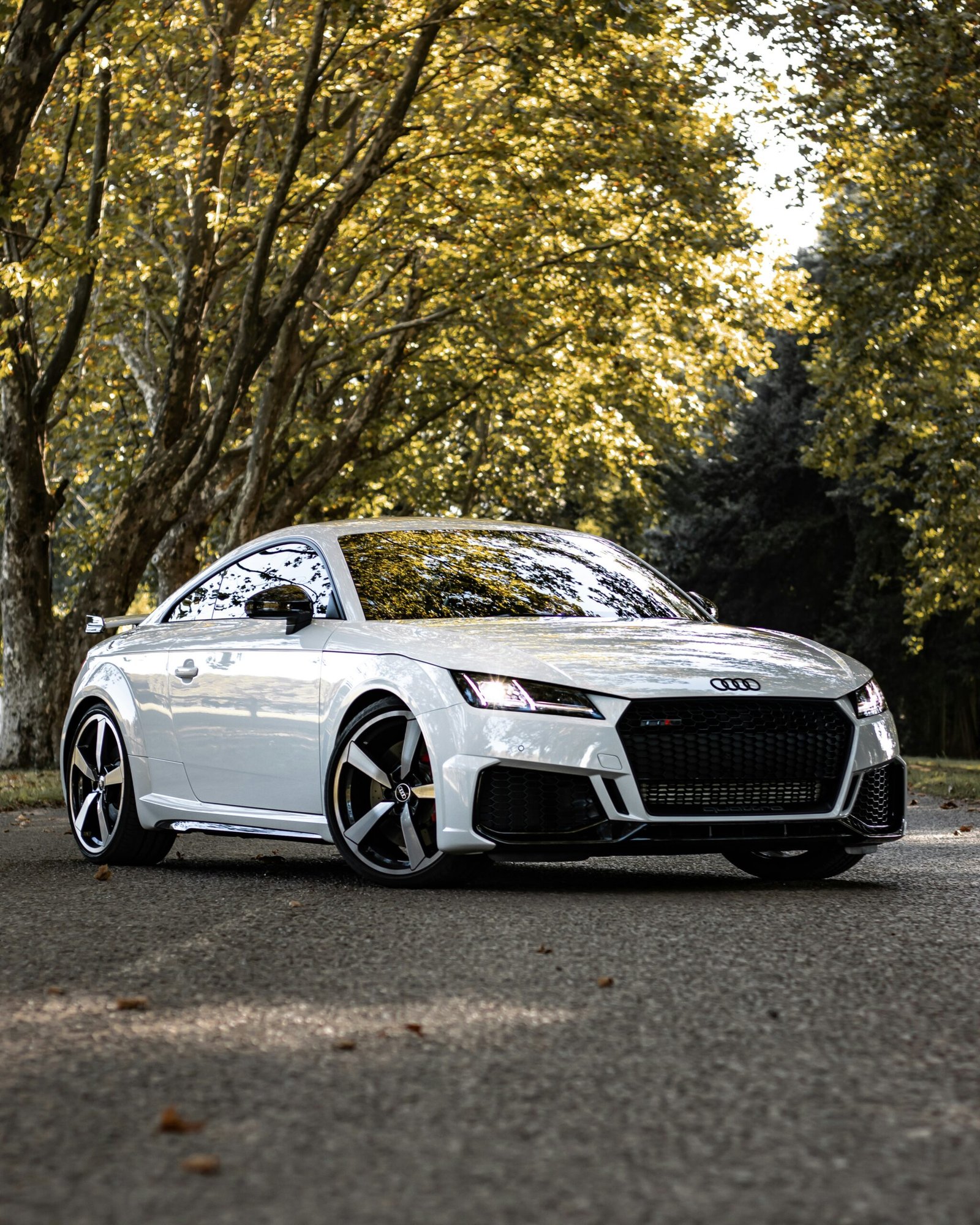 just audi spare parts white